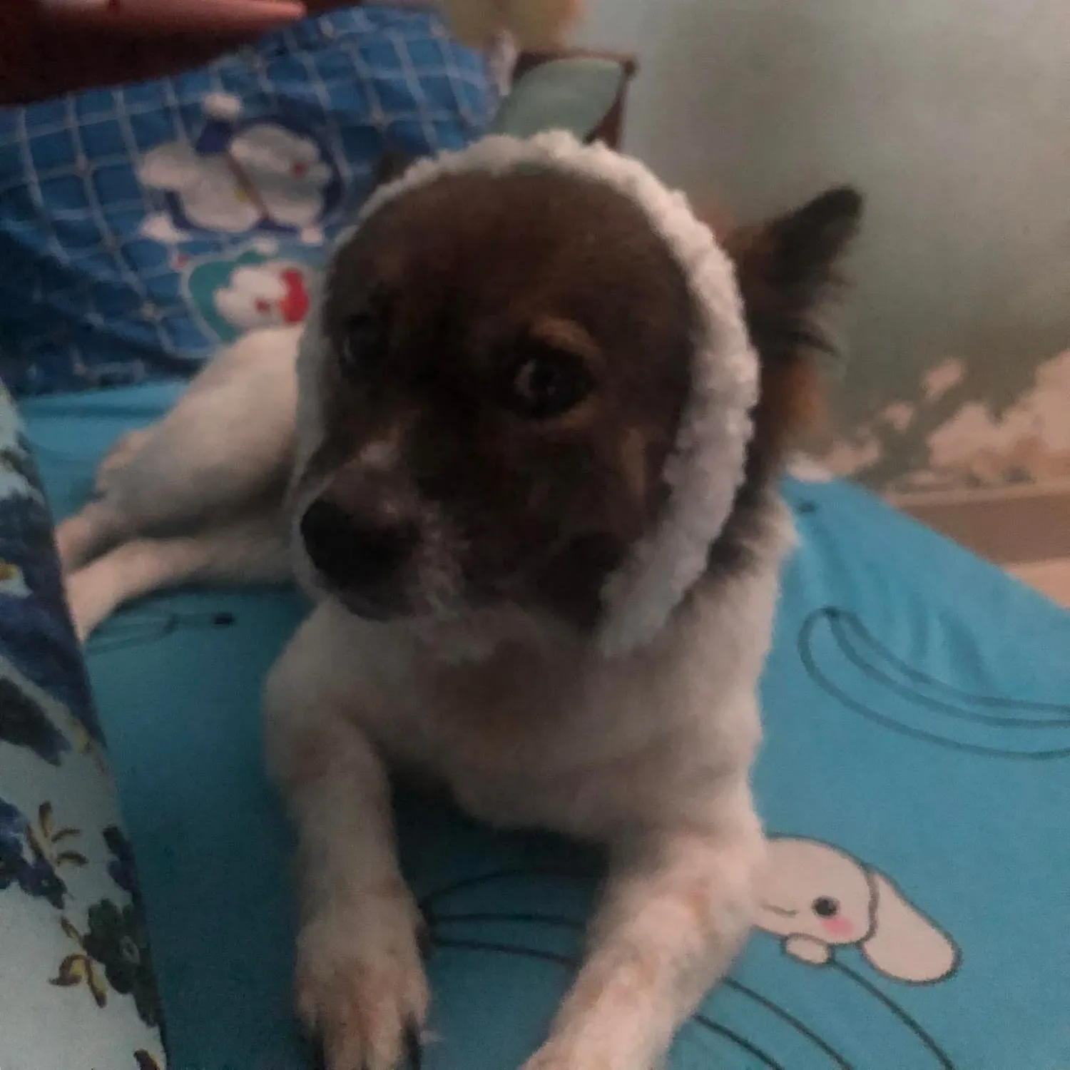 Doran的幕後花絮