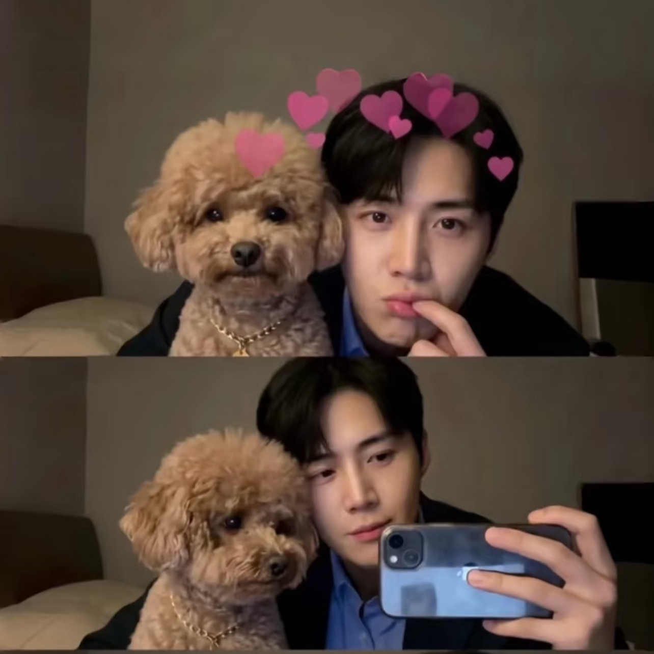 김선호 팬이 찍은 순간