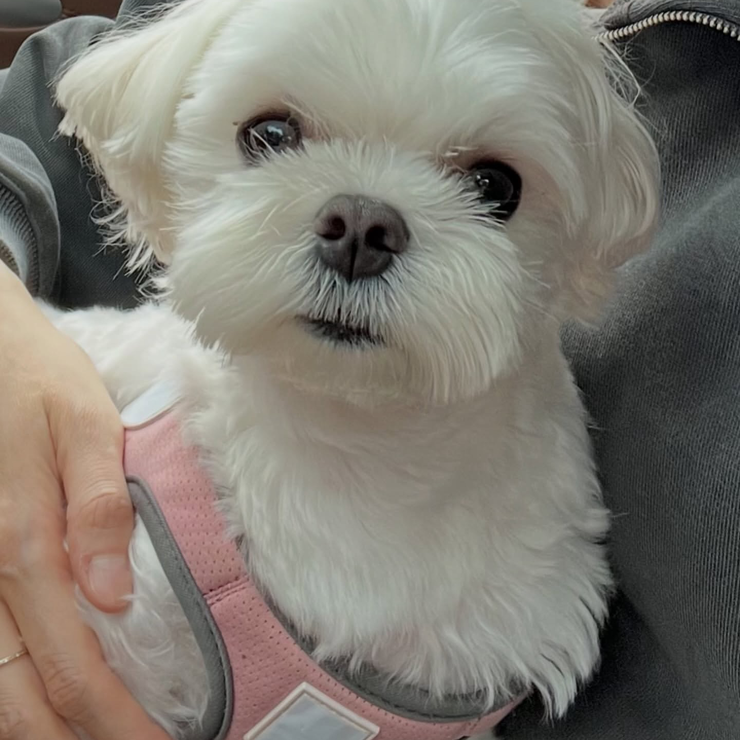 Recent activity shot of Kim Goeun