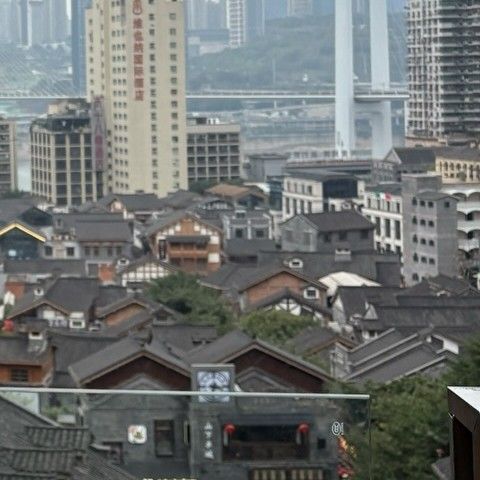 Recent activity shot of Bona