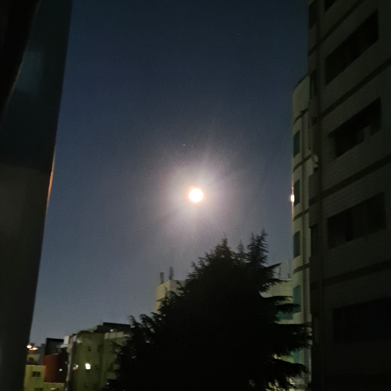 金浩中的近期活動照