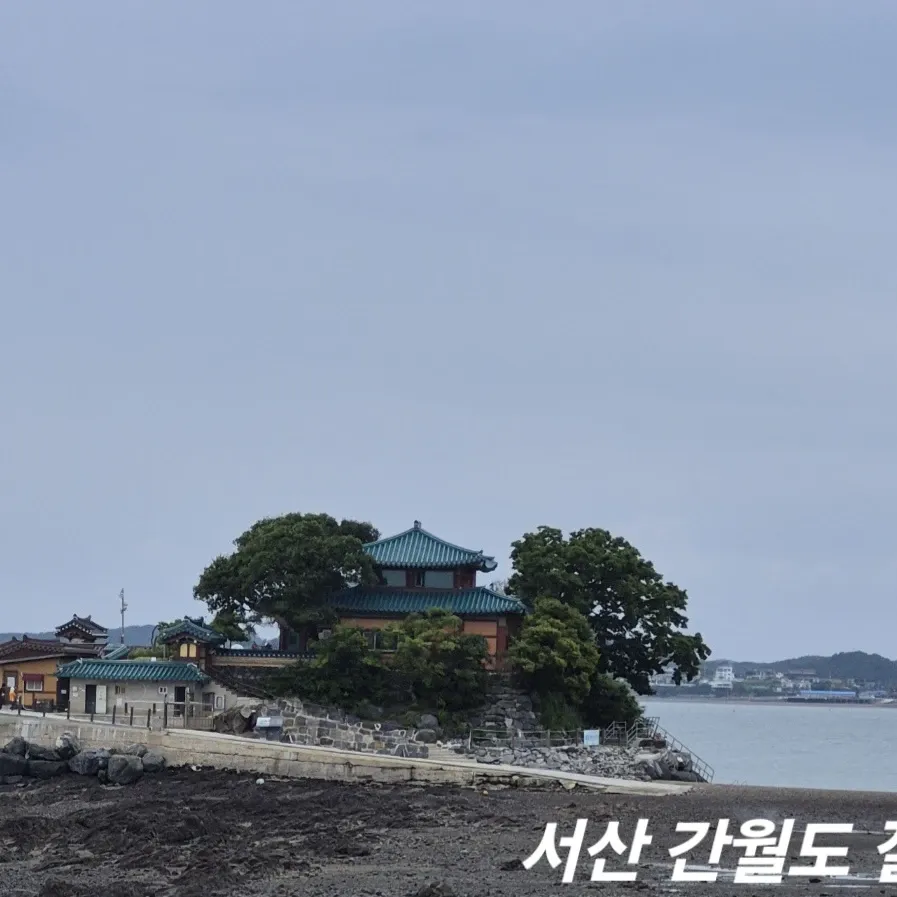 박서진 팬이 찍은 순간