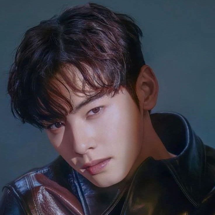 Behind-the-scenes cut of Cha Eunwoo