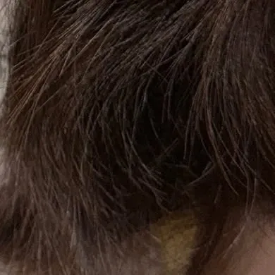 Latest photo of Bona