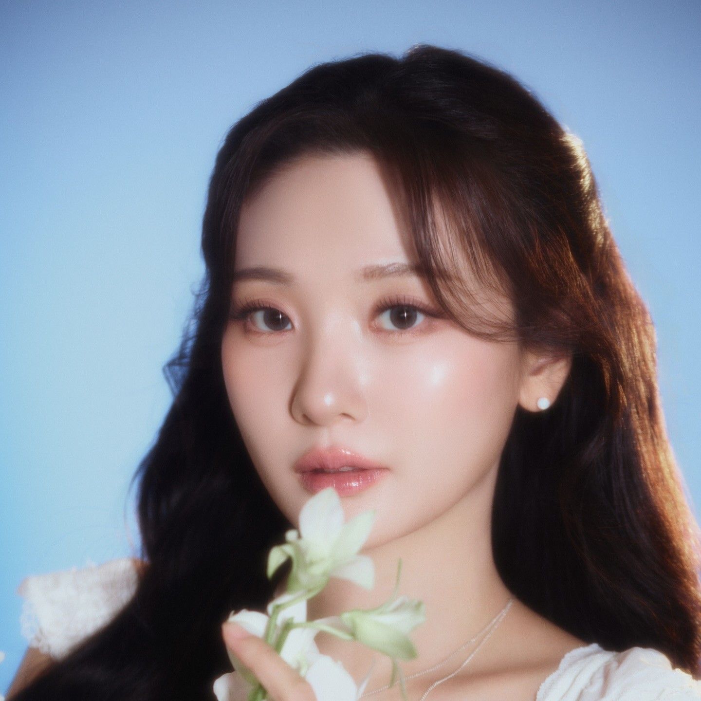 Latest photo of Bolbbalgan4