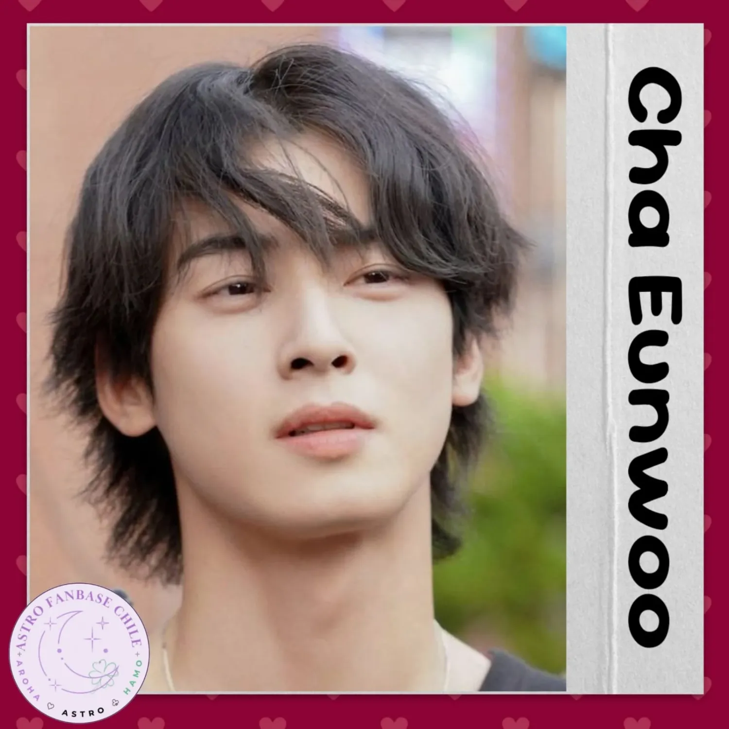 Recent activity shot of Cha Eunwoo