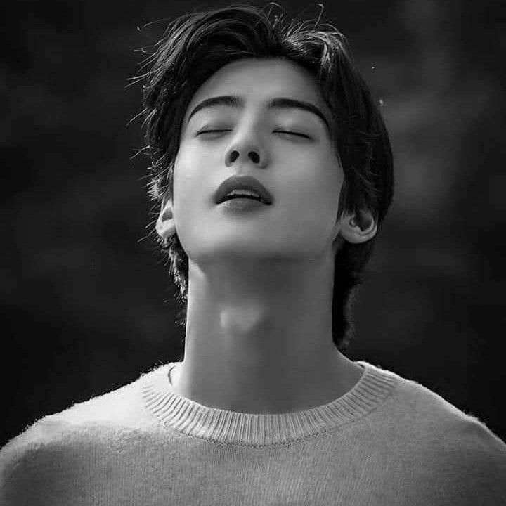 Recent activity shot of Cha Eunwoo