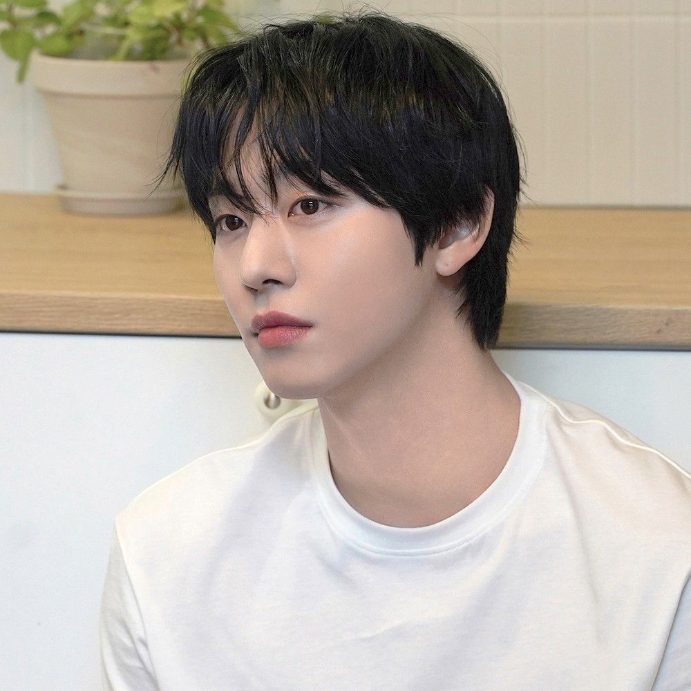 安孝燮的最新照片