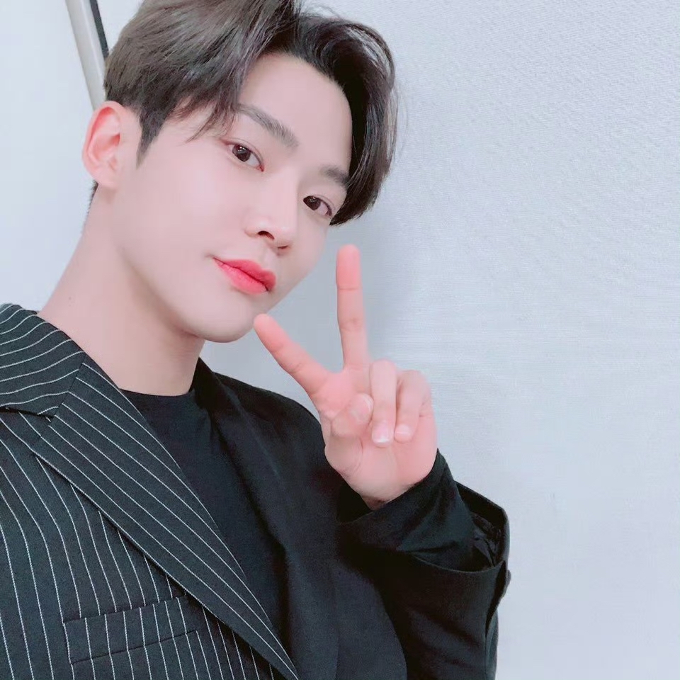 路雲的最新照片