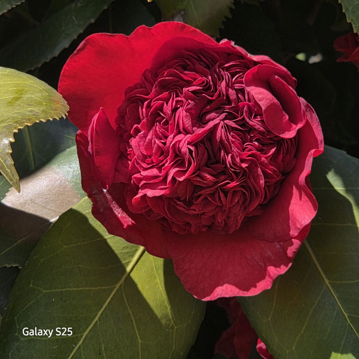 Behind-the-scenes cut of Jang Minho