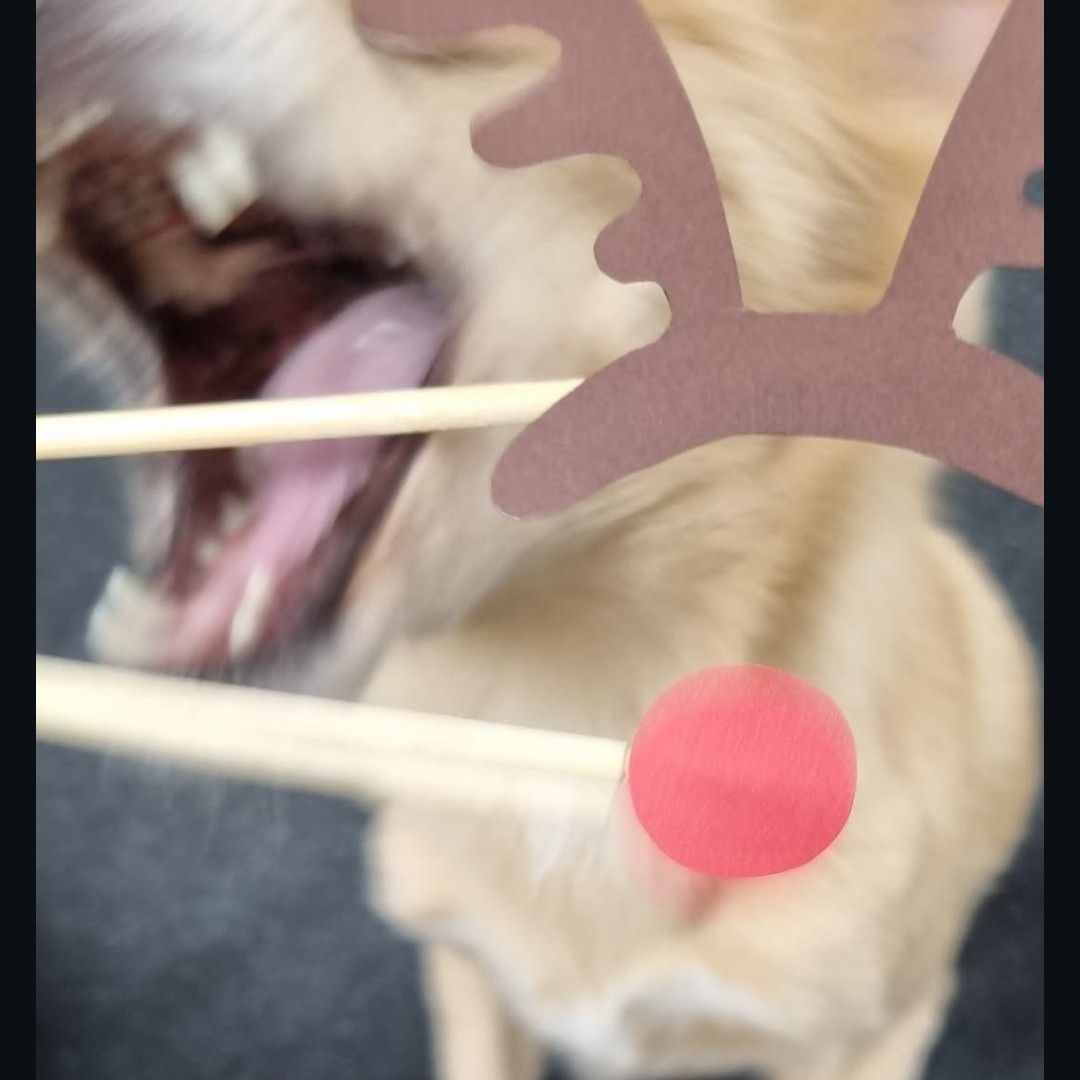 Behind-the-scenes cut of Dahyun