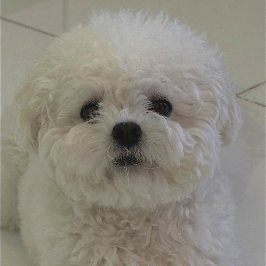 Behind-the-scenes cut of Cha Eunwoo