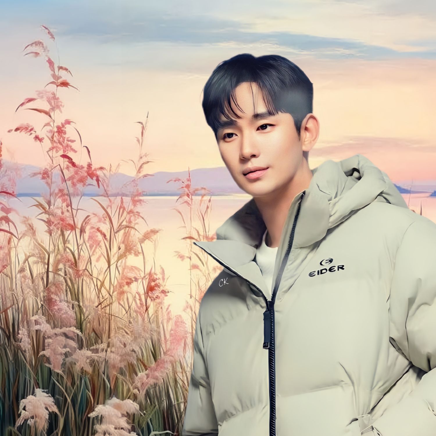 Recent activity shot of Kim Soohyun