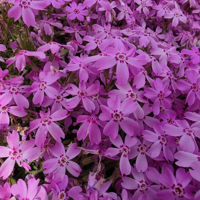 粉絲拍下的晉海成瞬間