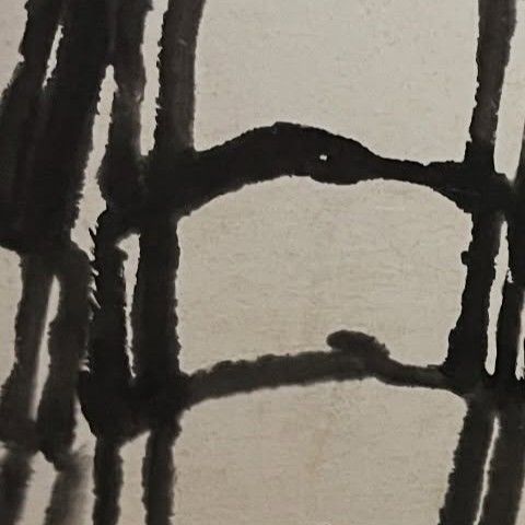 A moment captured by a fan of Bona