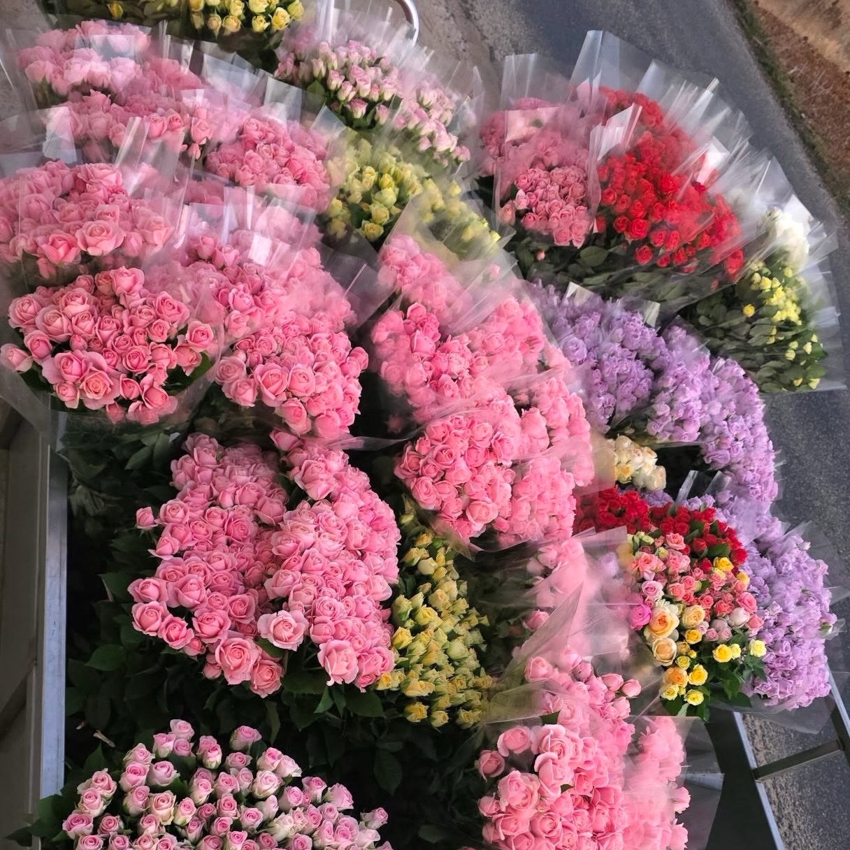 Foto kegiatan terbaru dari Cha Junhwan