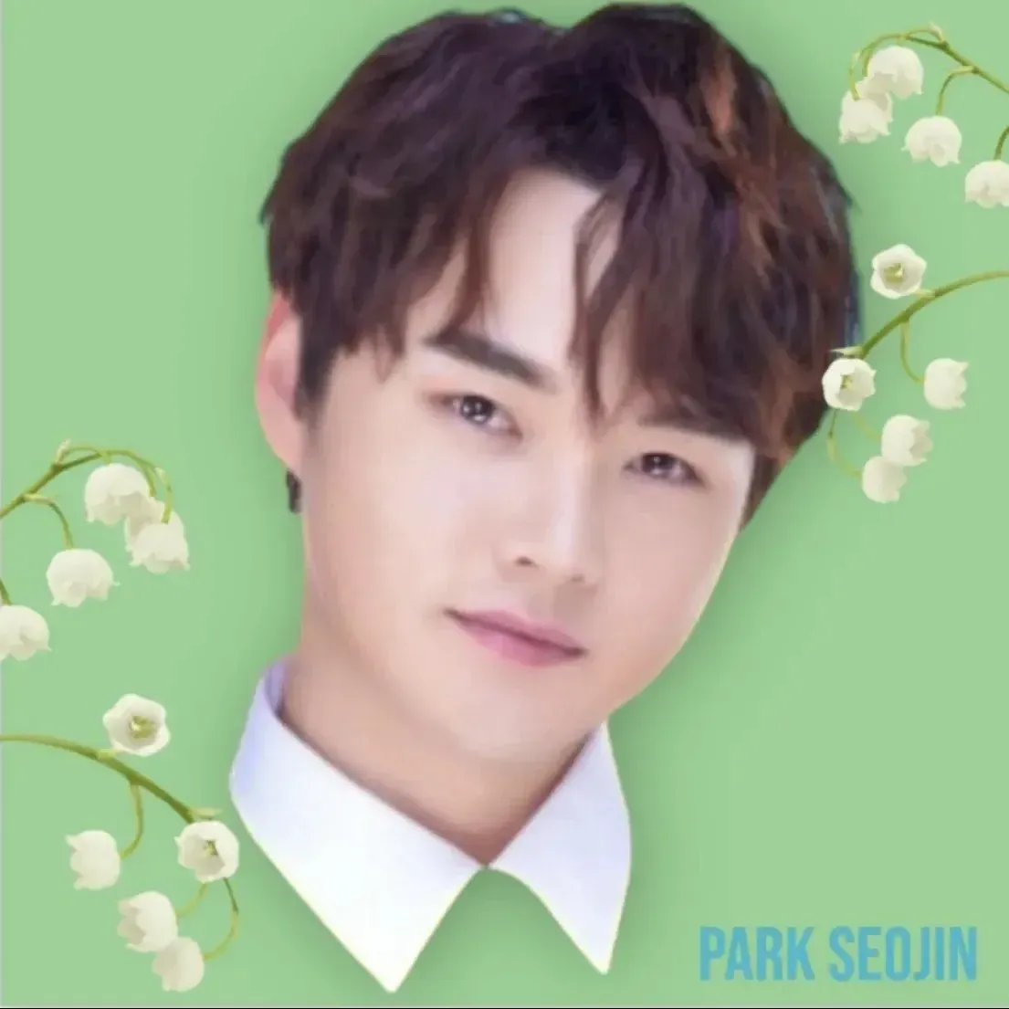 박서진의 최신 사진
