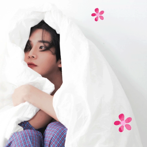 로운 팬이 찍은 순간