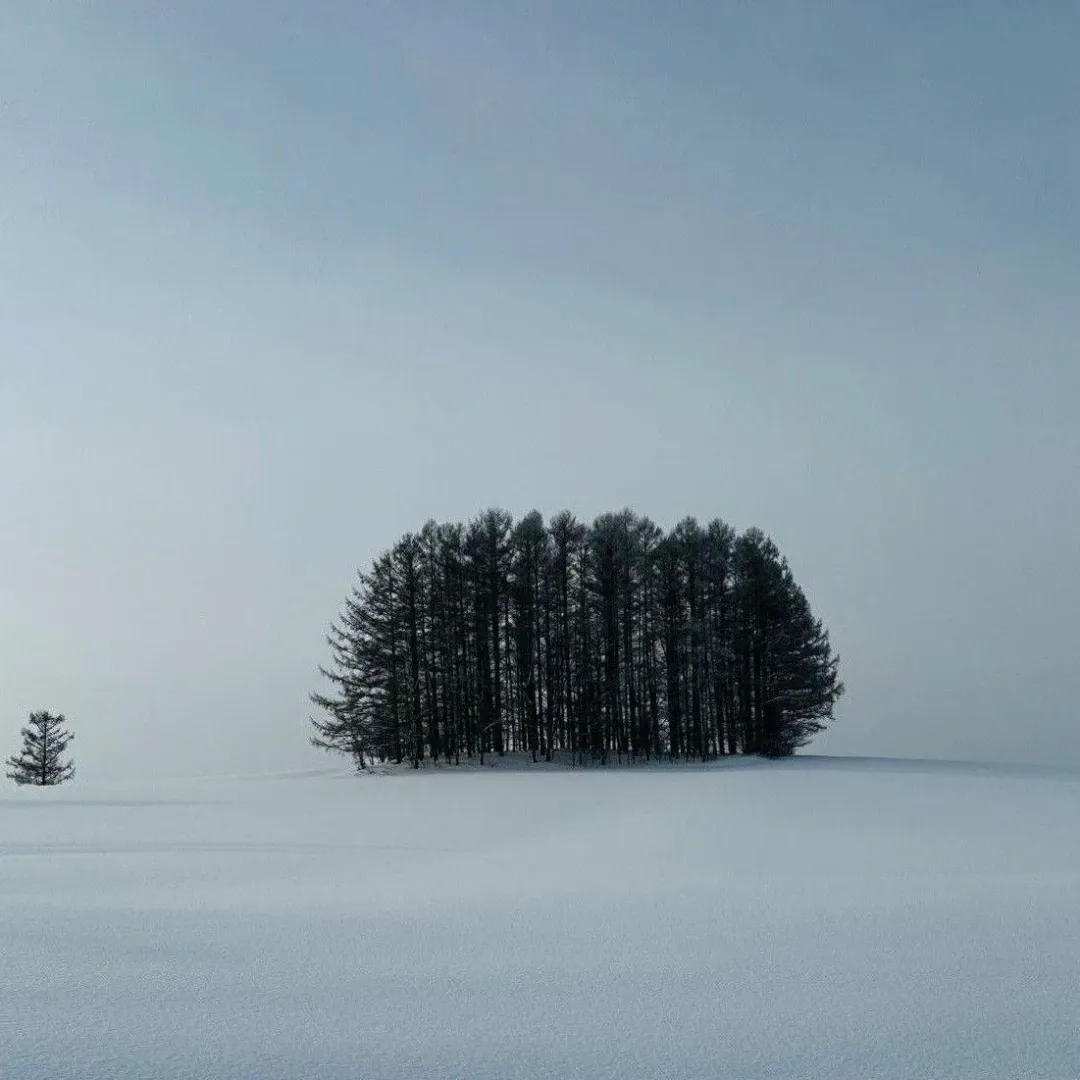 도경수 (디오) 팬이 찍은 순간