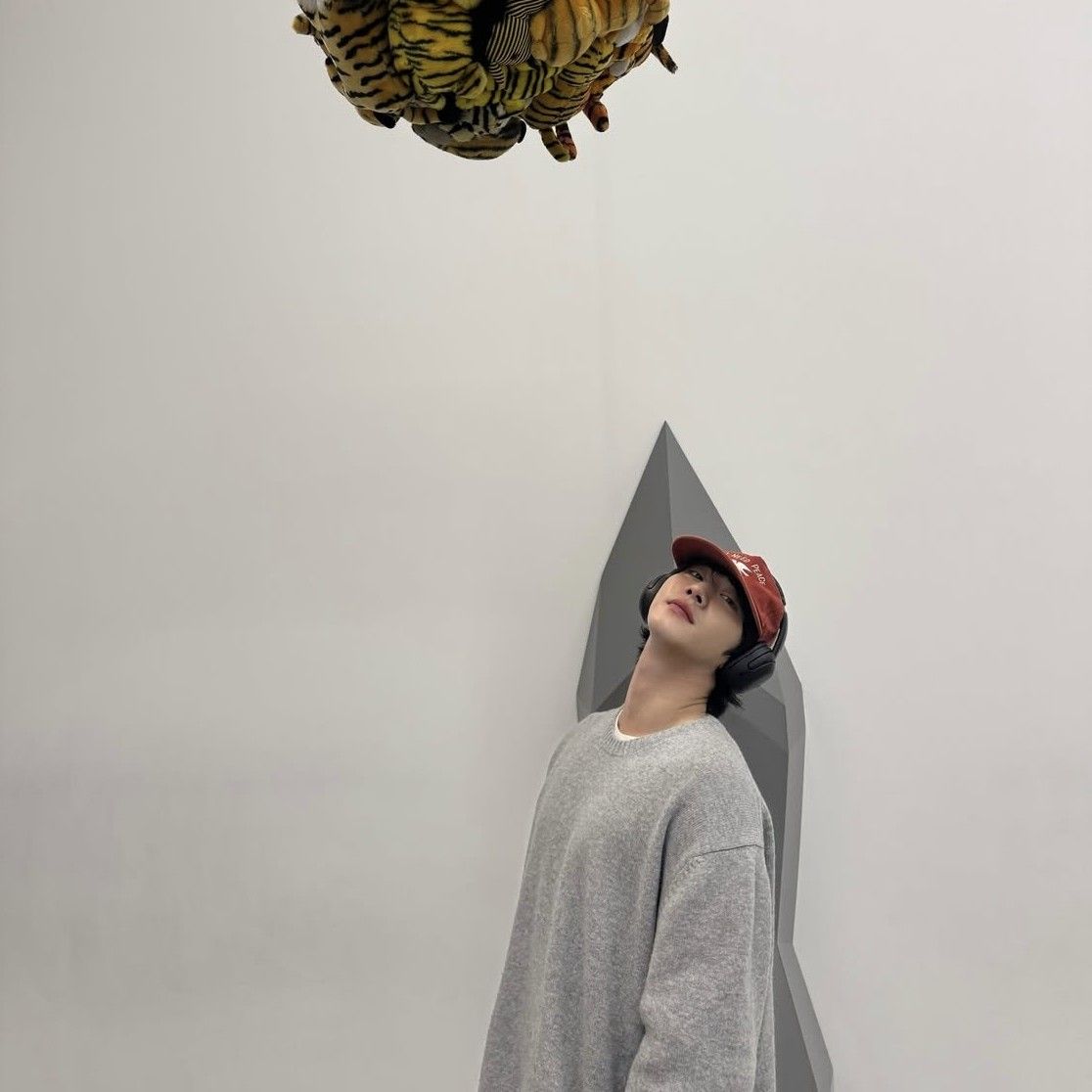 安孝燮的最新照片