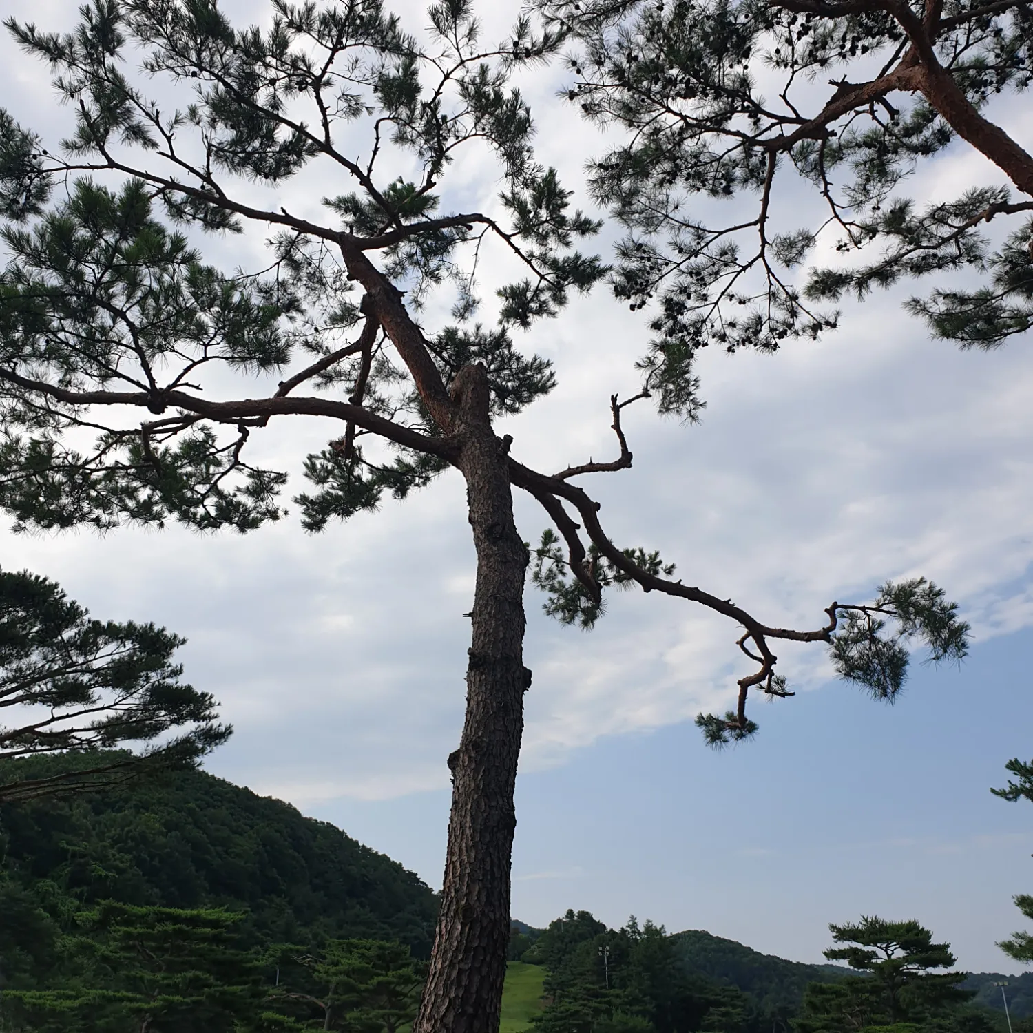 A moment captured by a fan of Jin Haesung
