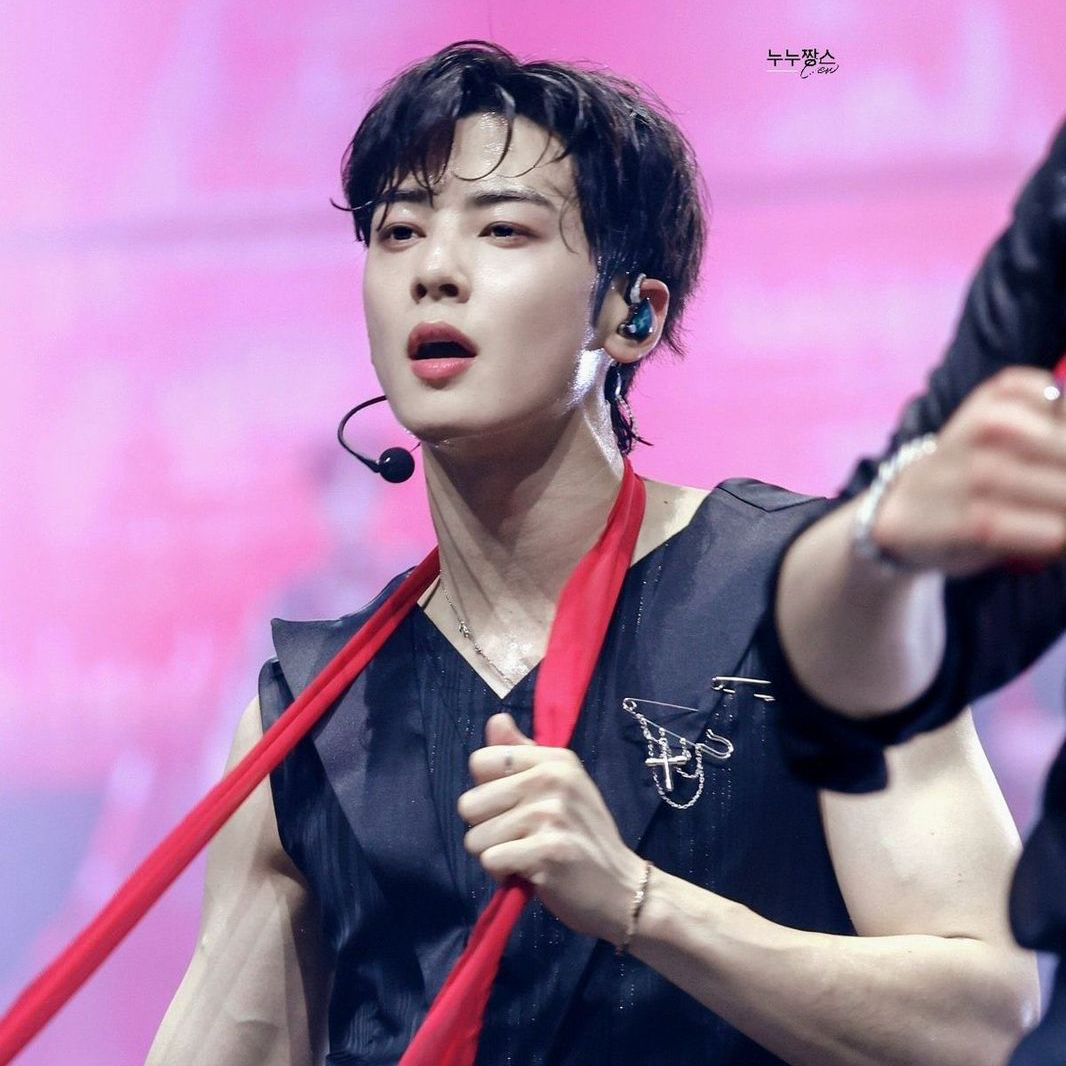 A moment captured by a fan of Cha Eunwoo