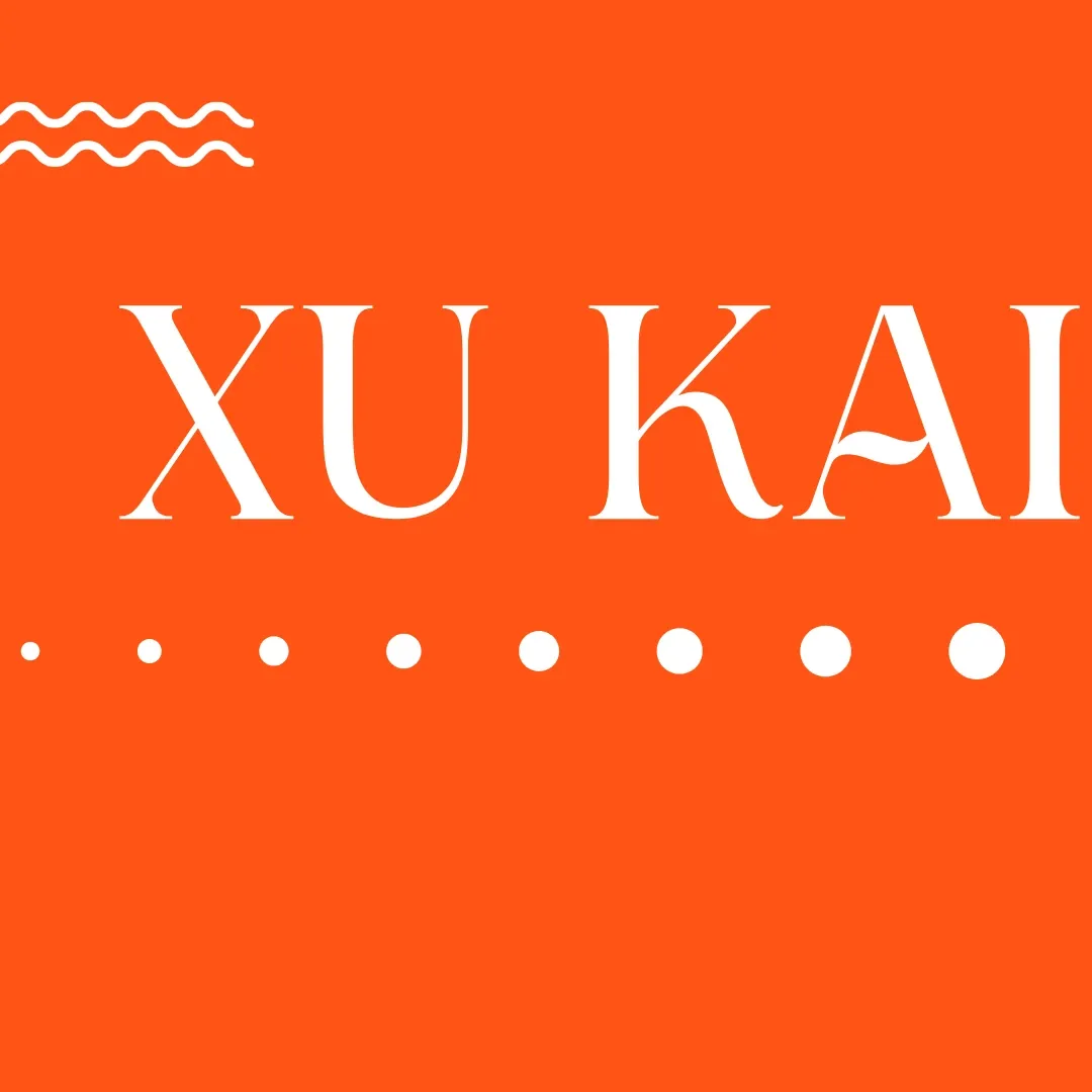 A moment captured by a fan of Xu Kai