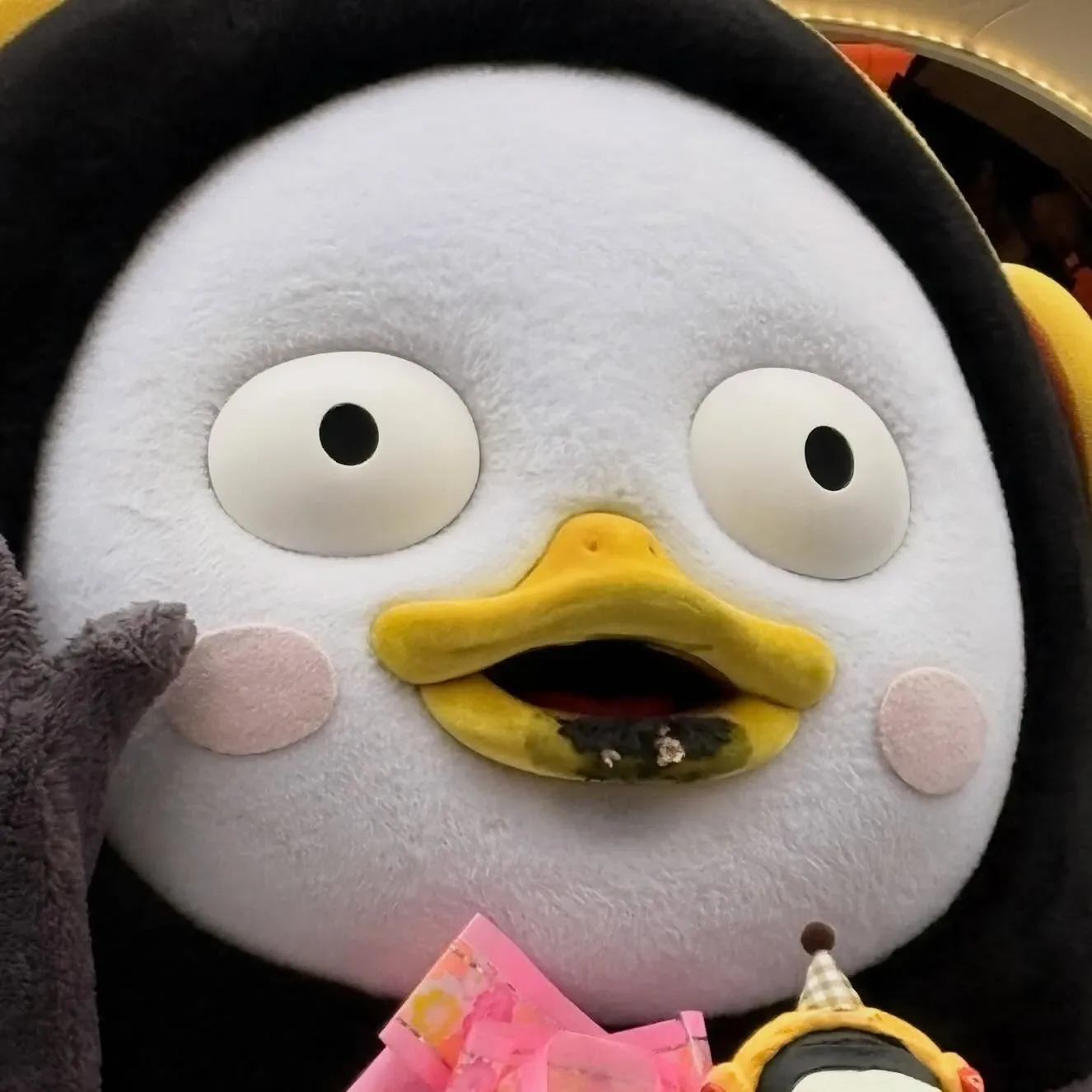 粉絲拍下的朋秀瞬間