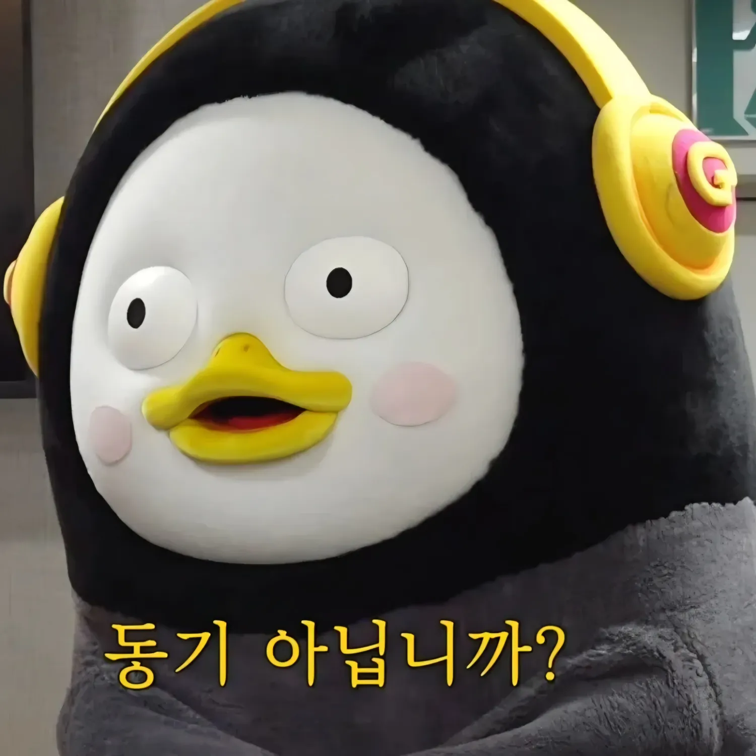 펭수 팬이 찍은 순간