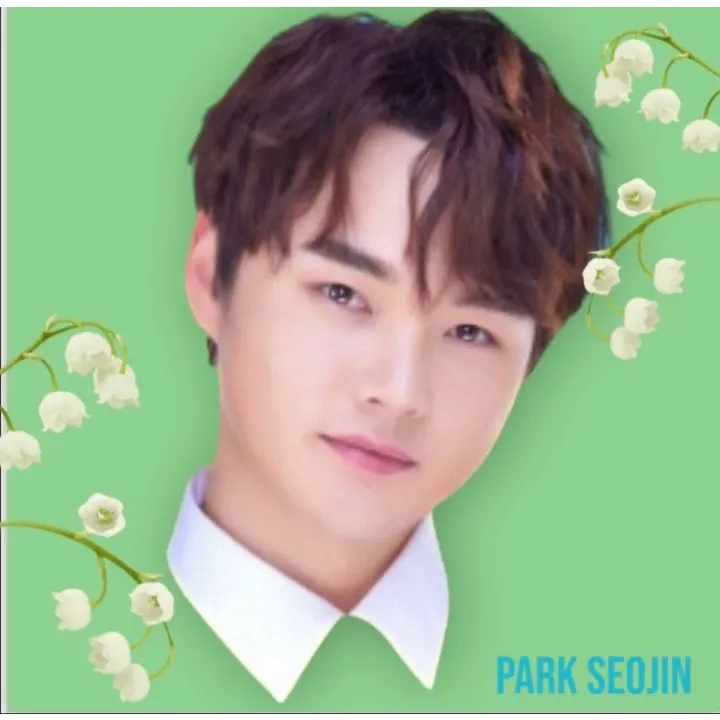박서진 팬이 찍은 순간