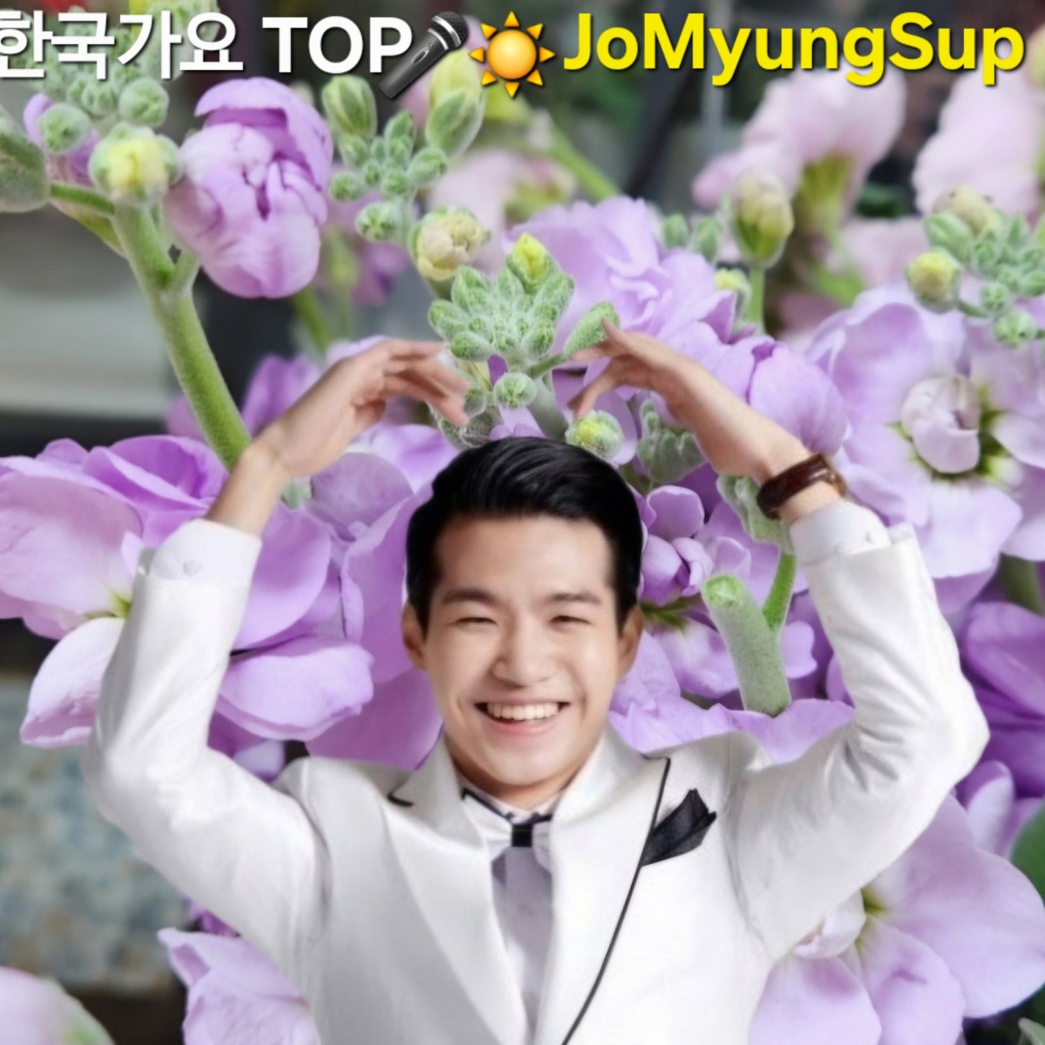 조명섭 팬이 찍은 순간