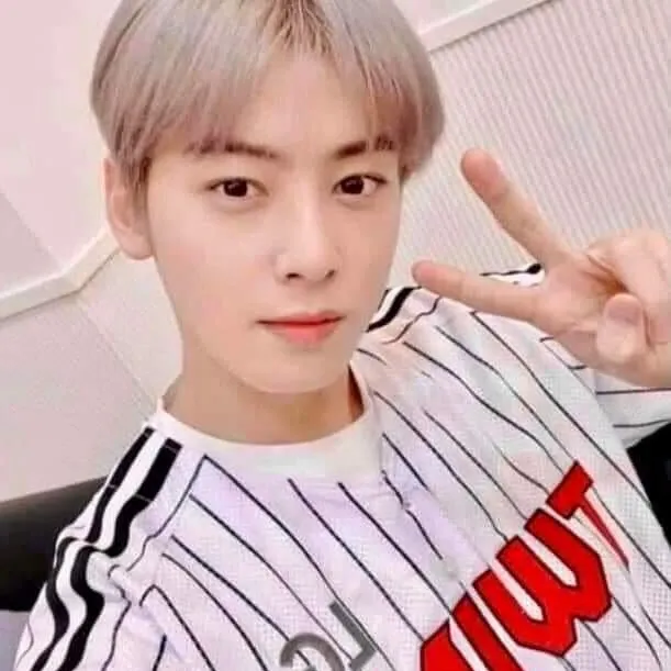 A moment captured by a fan of Cha Eunwoo