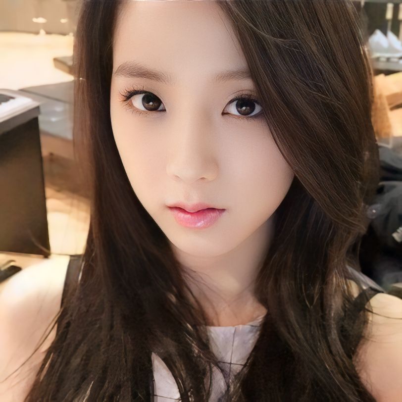 A moment captured by a fan of Jisoo (1995)