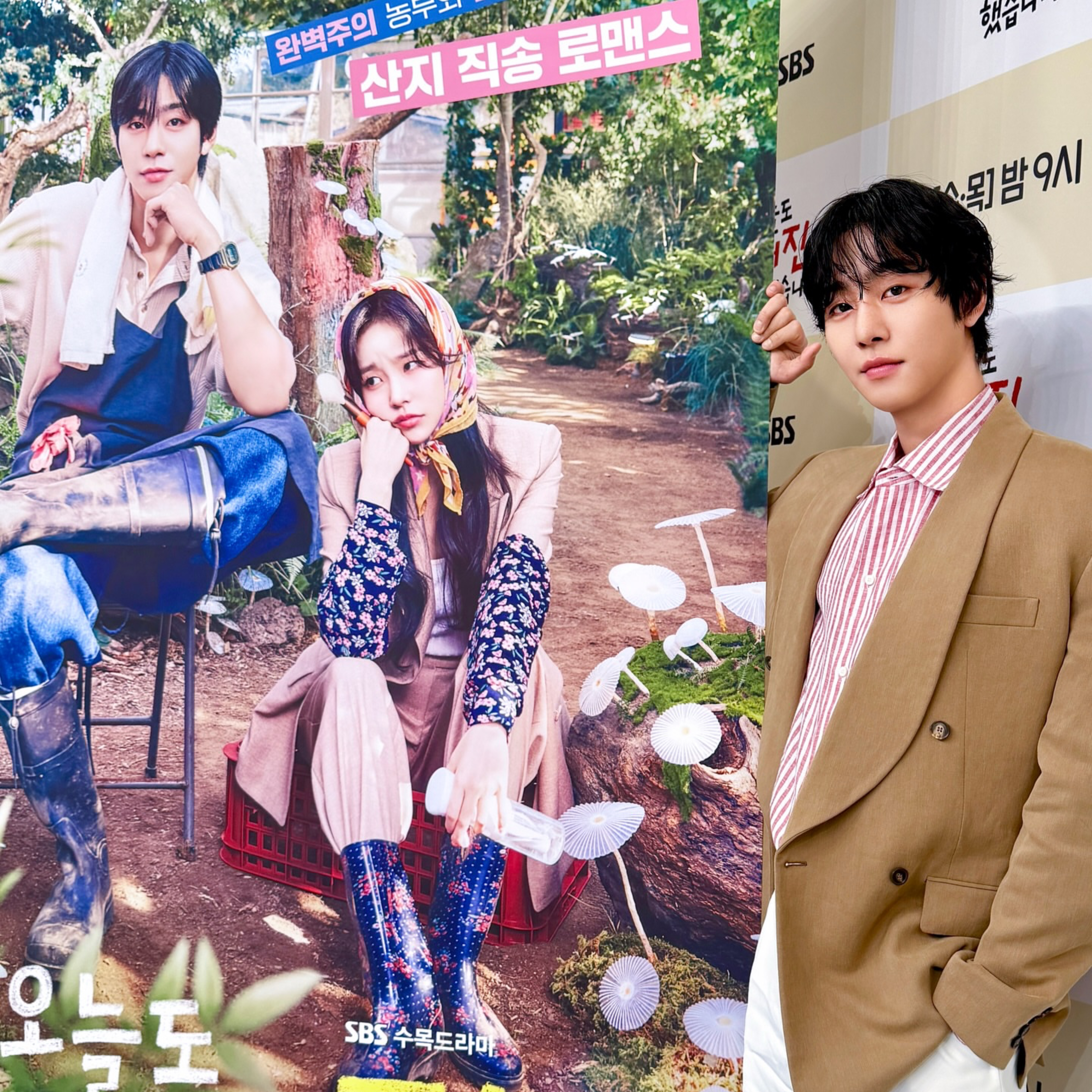 安孝燮的近期活动照