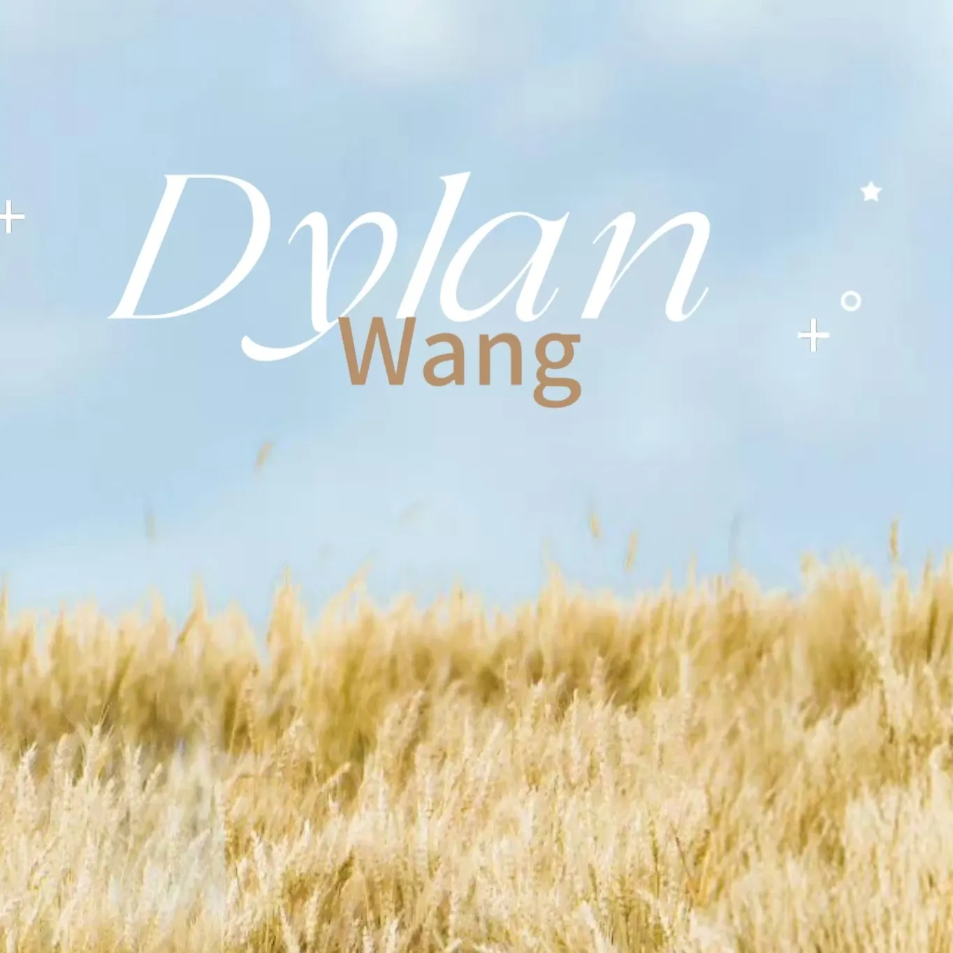 A moment captured by a fan of Dylan Wang