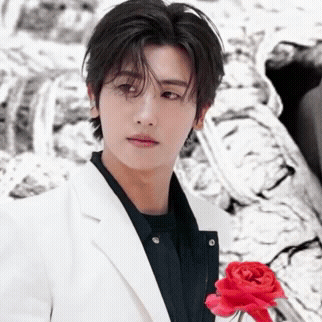 community_articles_contents