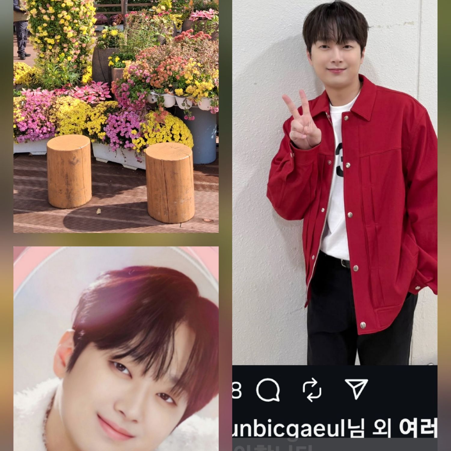 이찬원의 최신 사진