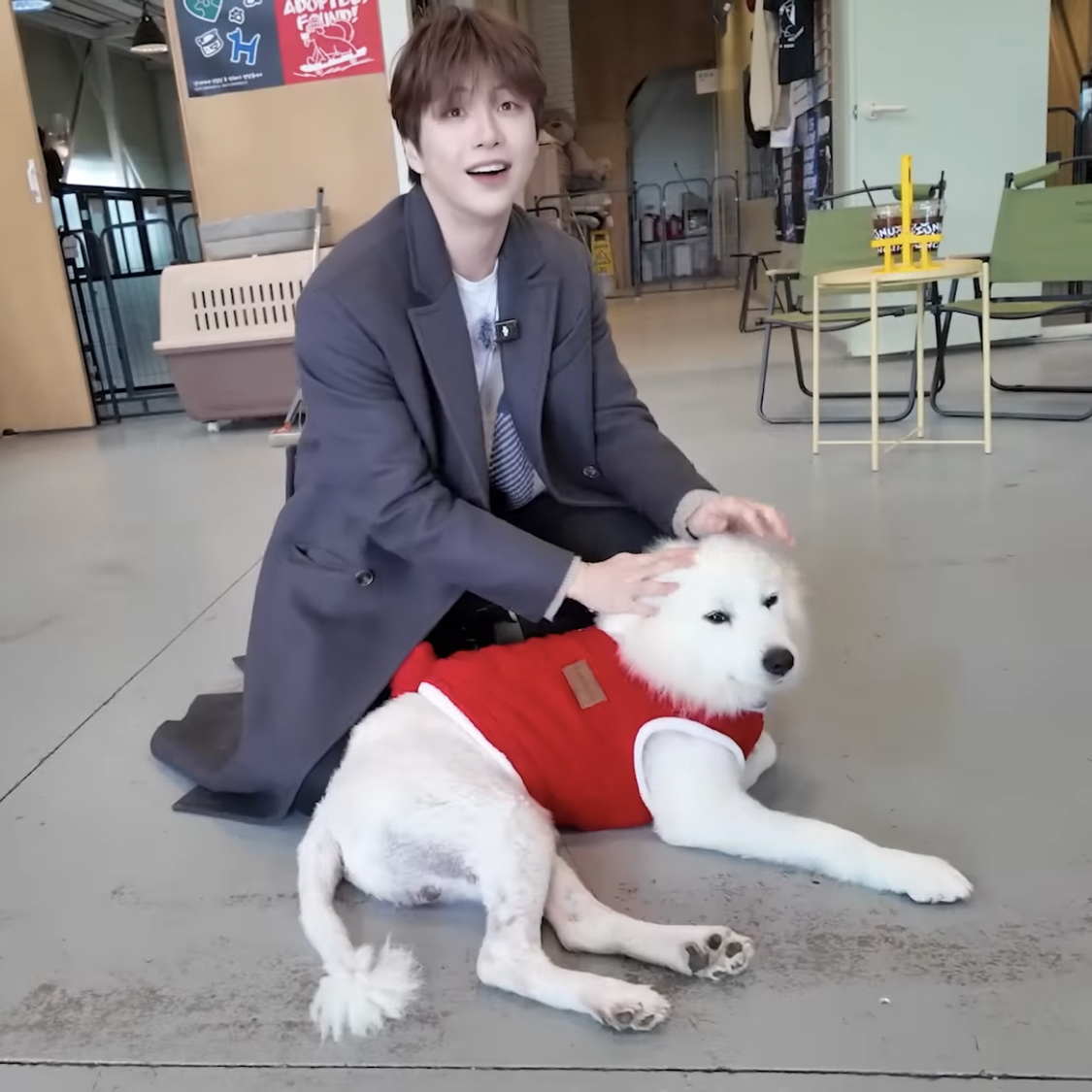 秘密空間的最新照片