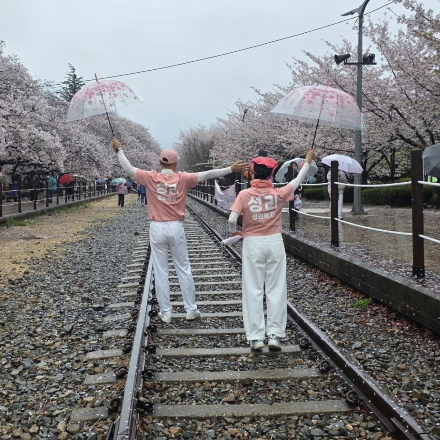 성리 최근 활동샷