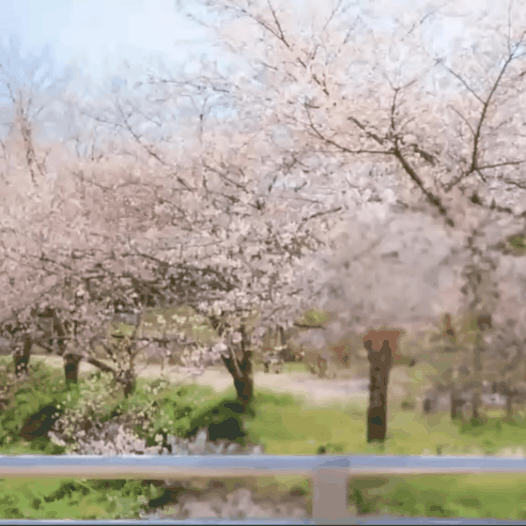 丁海寅的幕後花絮