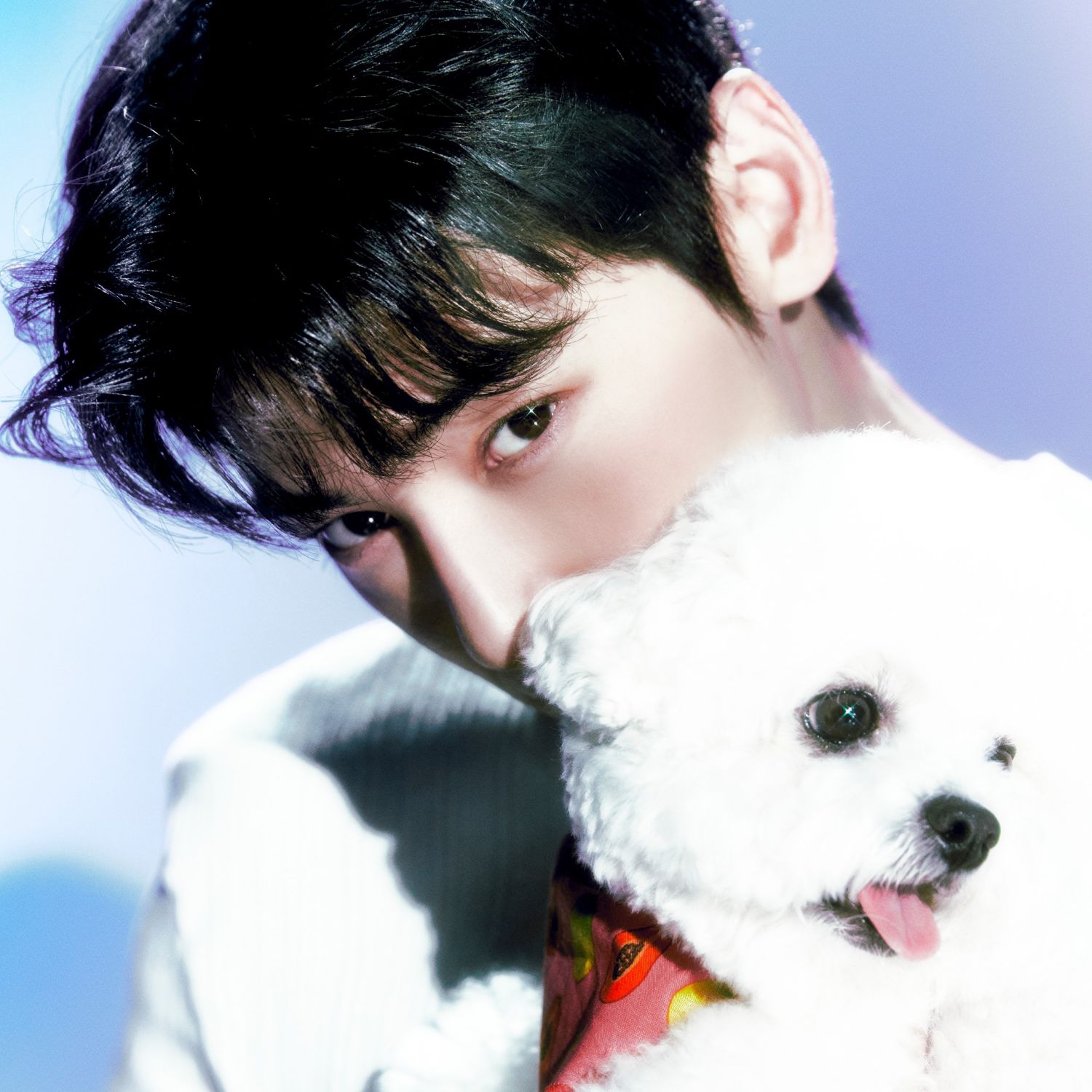 车银优的近期活动照