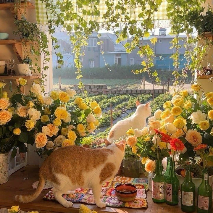 Recent activity shot of Doran