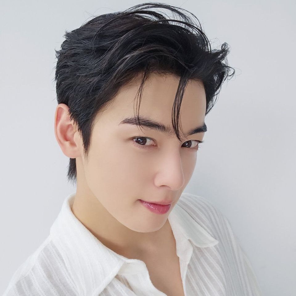 A moment captured by a fan of Cha Eunwoo