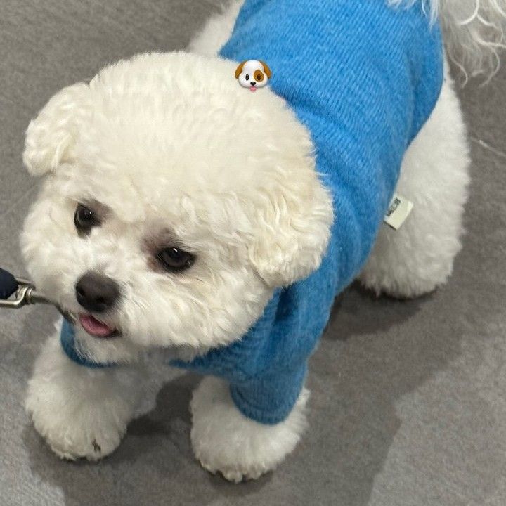 车银优的最新照片