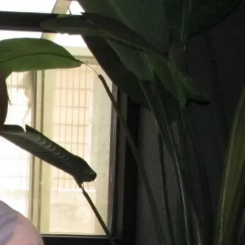 Behind-the-scenes cut of Bae Inhyuk
