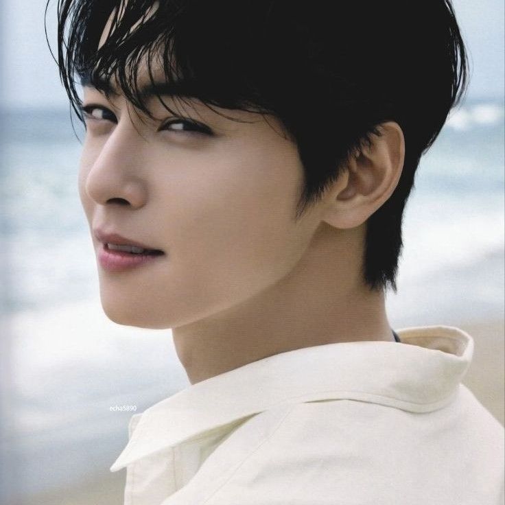 Behind-the-scenes cut of Cha Eunwoo