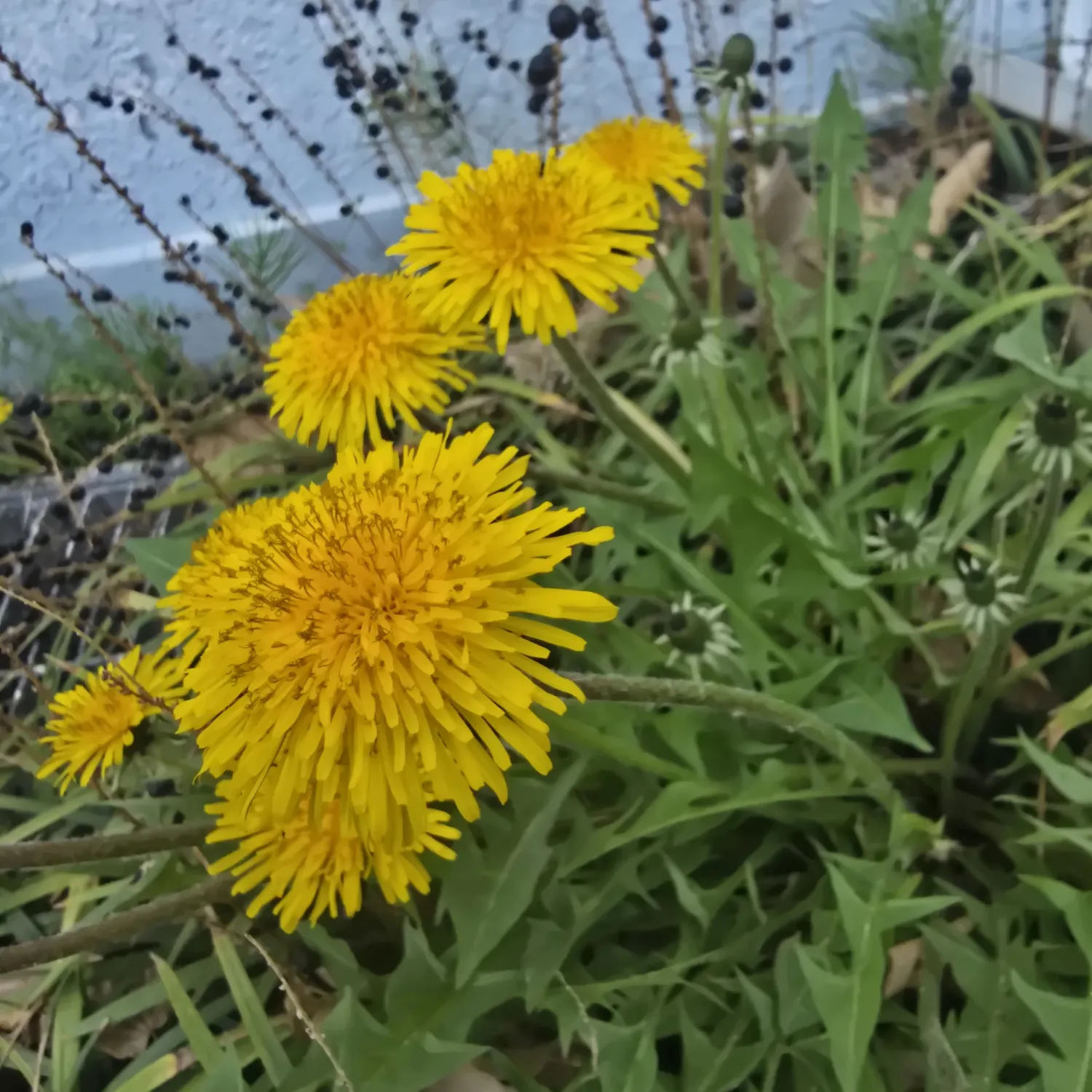 朴瑞鎮的幕後花絮