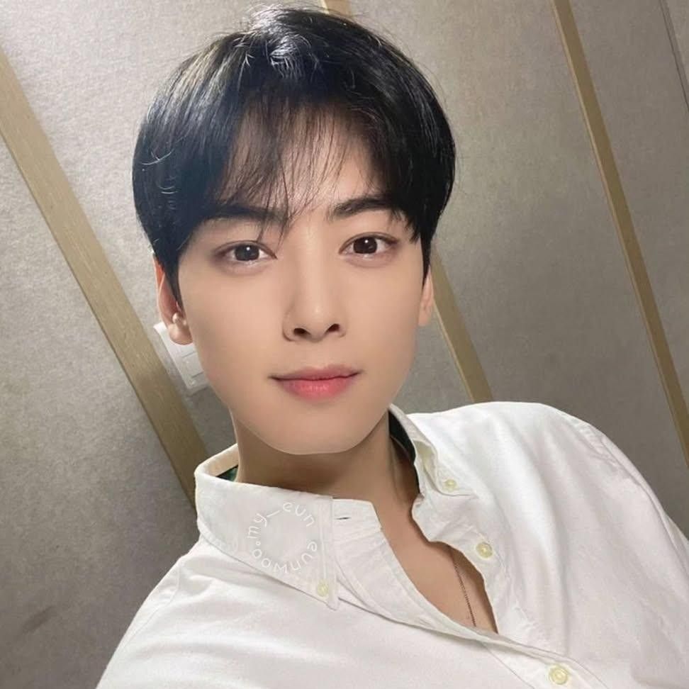 A moment captured by a fan of Cha Eunwoo