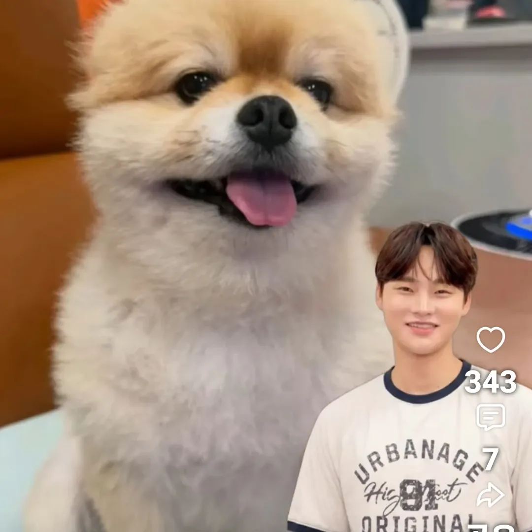 박서진의 비하인드 컷