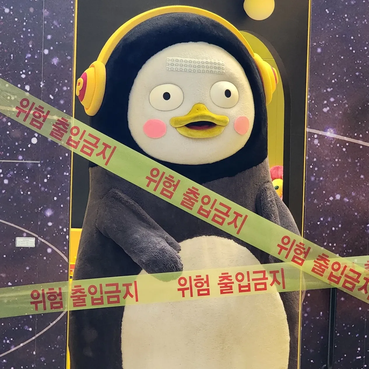 펭수의 최신 사진